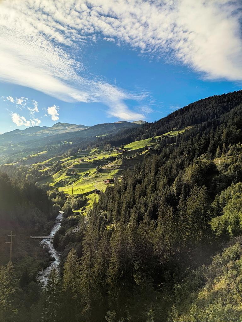 LaPetite🦋🍄 tweet media