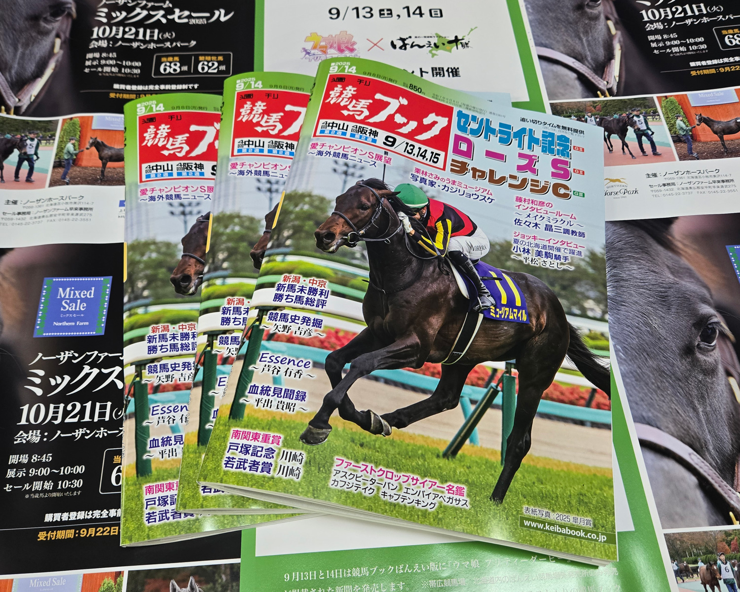 競馬　書籍セット Yahoo!オークション -「競馬ブック」(ギャンブル) (趣味