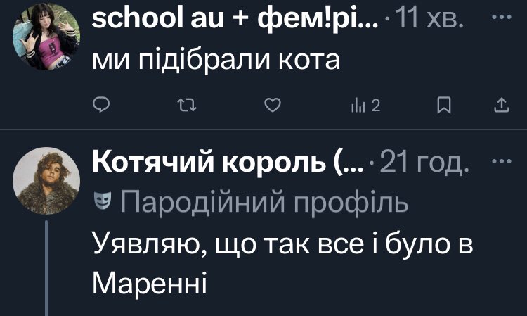 Кіт ін квешчон: цілий король