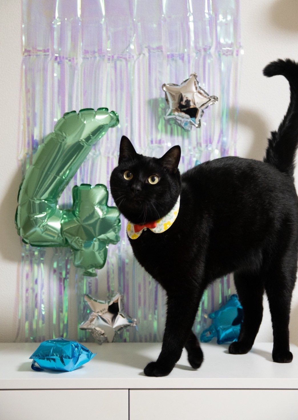 黒猫のすずり🐾 (@suzuri_9629) / X