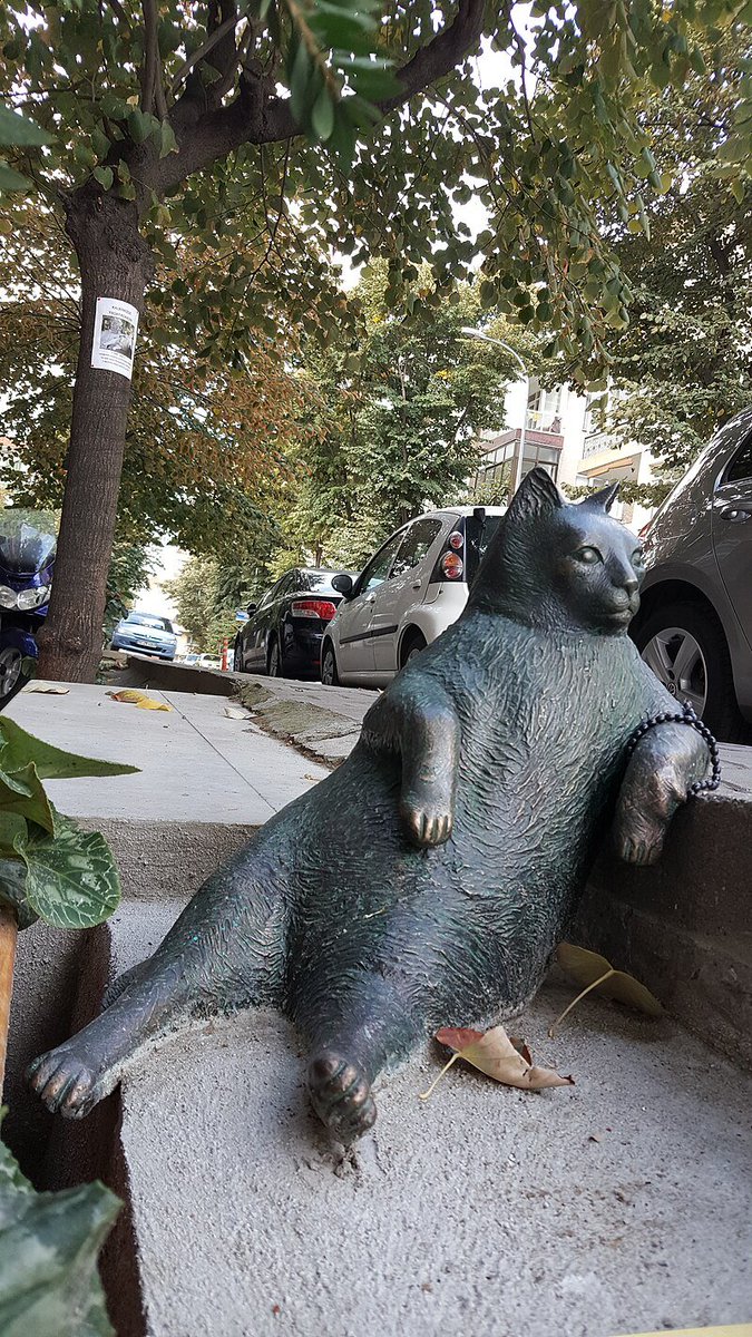 In Istanbul, Turkey, a statue was built to honour Tombili, the city’s beloved stray cat, in her famous lounging pose. 

The statue was stolen just weeks after its 2016 unveiling but later recovered, repaired, and returned to its original spot, where it still rests today.