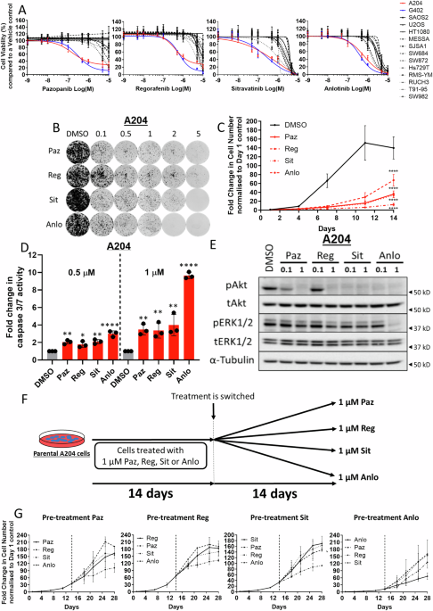 Exploiting collateral sensitivity in the evolution of resistance to tyrosine kinase inhibitors in soft tissue sarcomas: Communications Biology, Published online: 08 August 2025; doi:10.1038/s42003-025-08652-1Sarcoma treatments are limited due to… nature.com/articles/s4200…