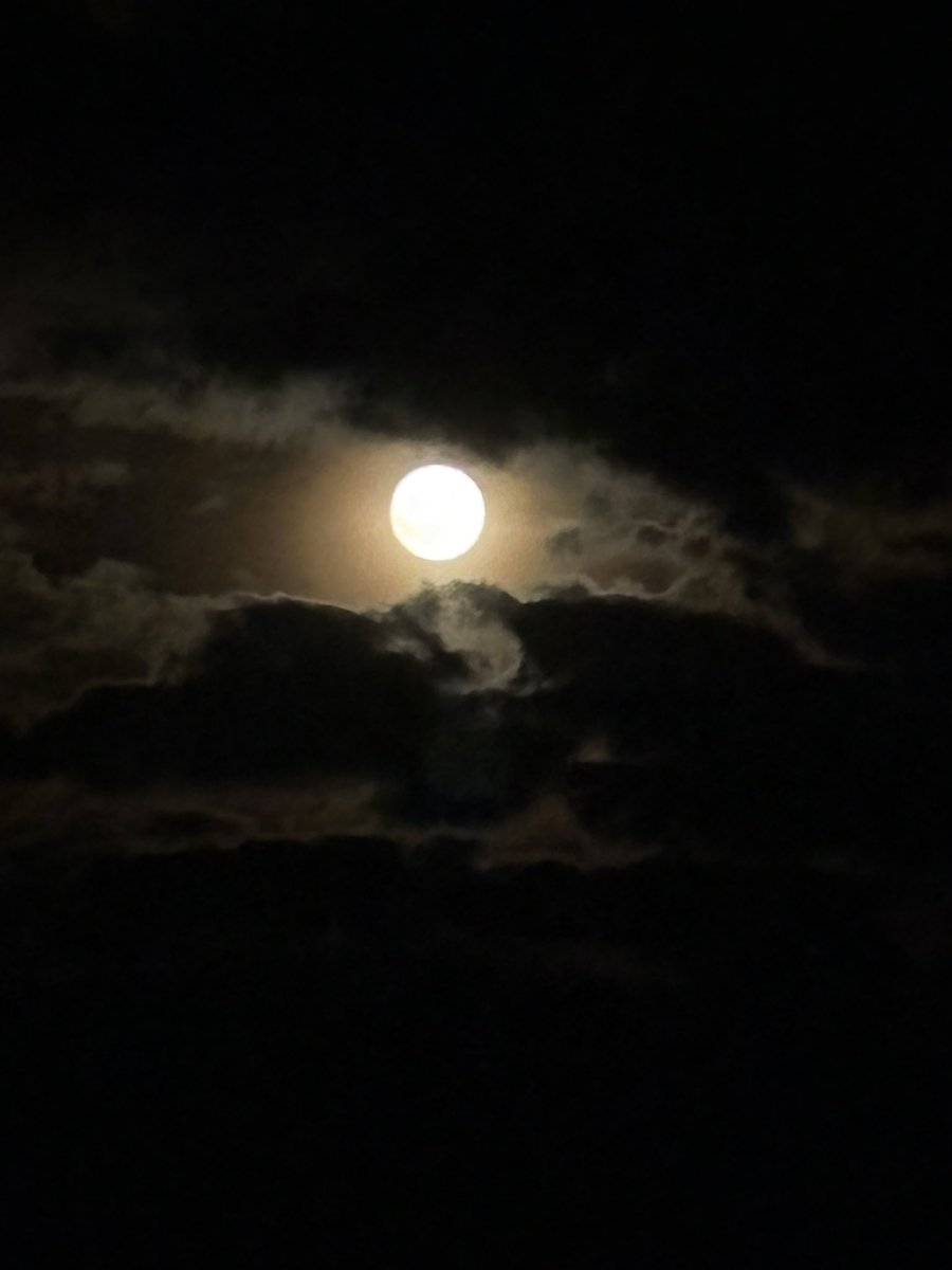 お月様🌕いつにもまして、大きいなぁ😇

今夜、8日の深夜2時頃からの皆既月食、、見たいけど、寝ちゃう😅