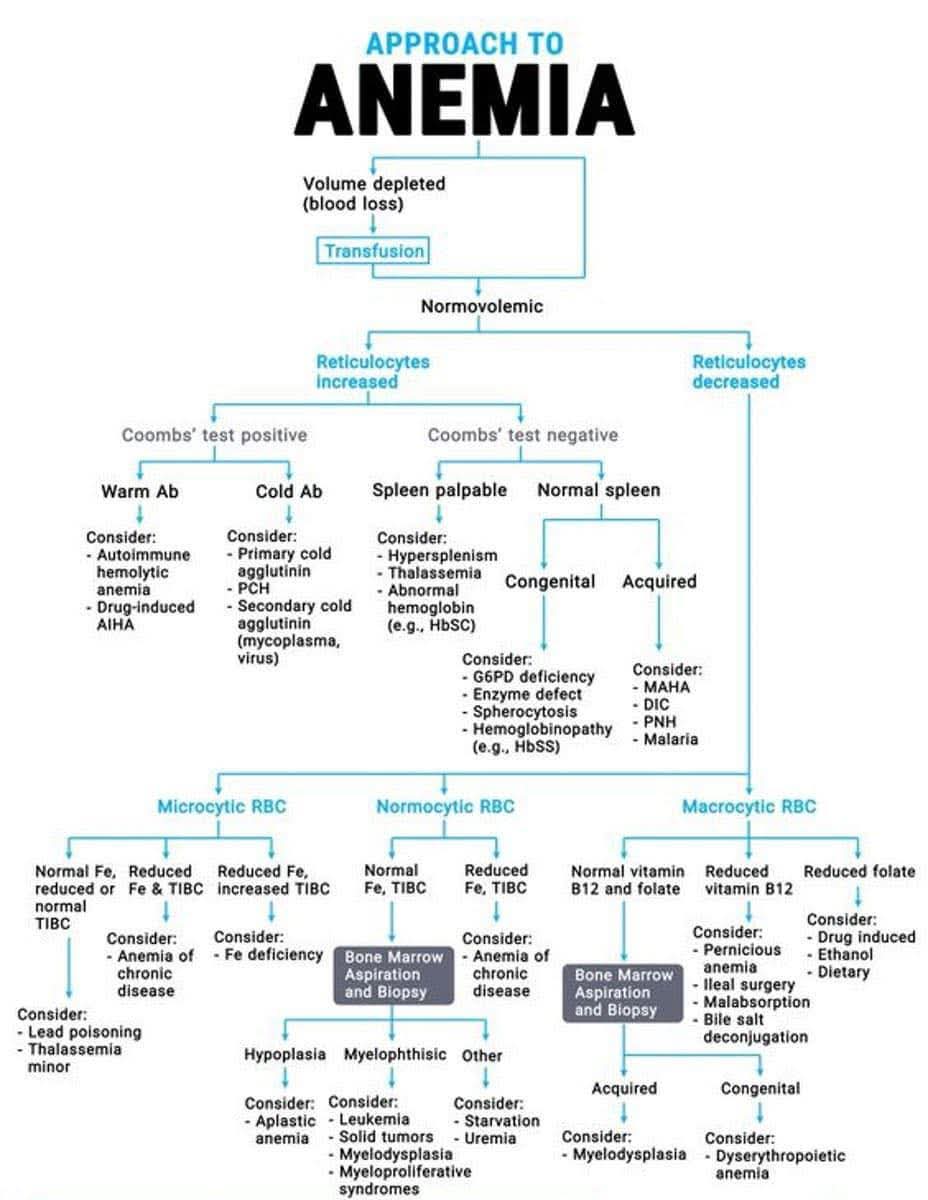 TrackYourHeart's tweet image. Approach to Anemia 😍