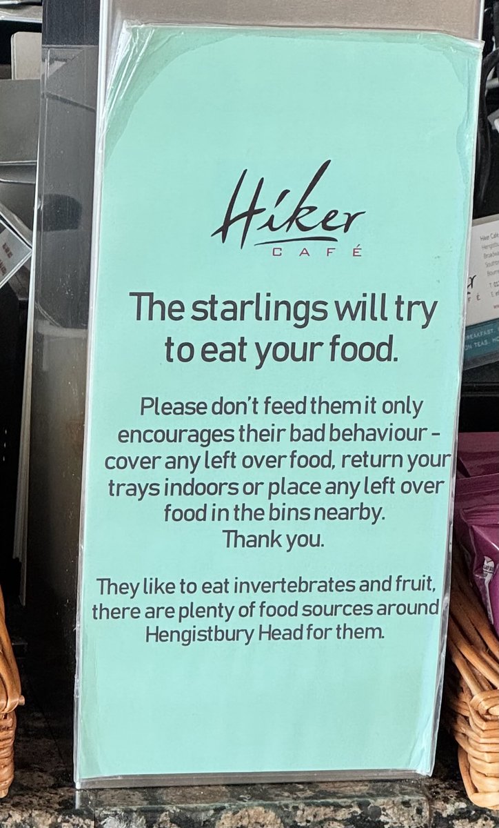 I N V E R T E B R A T E S