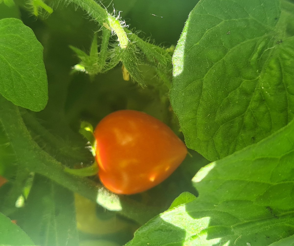 At store mengder er det som gjer oss glad?