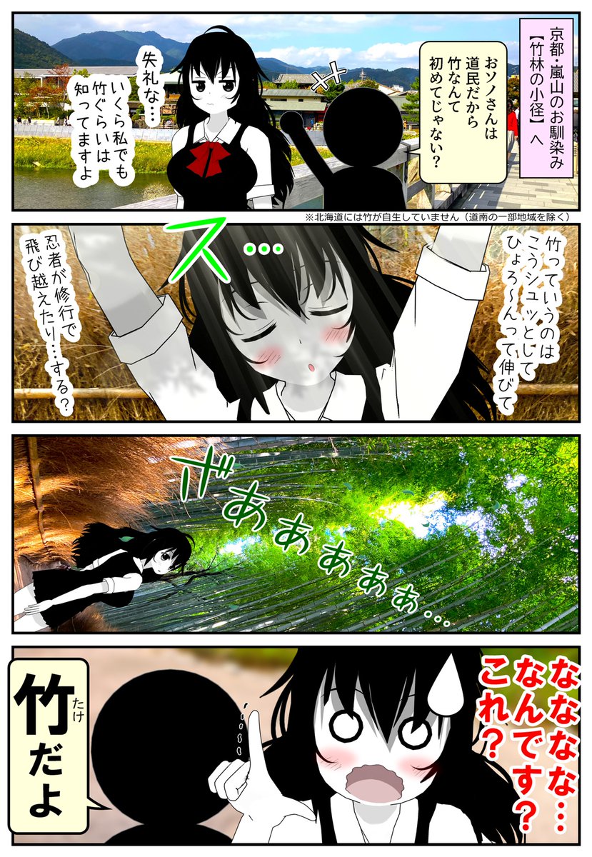 【おソノさんは旅をする】
京都・嵐山にある超有名スポット【竹林の小径】です。
トロッコも良かったですし、いつかまた行きたい。 