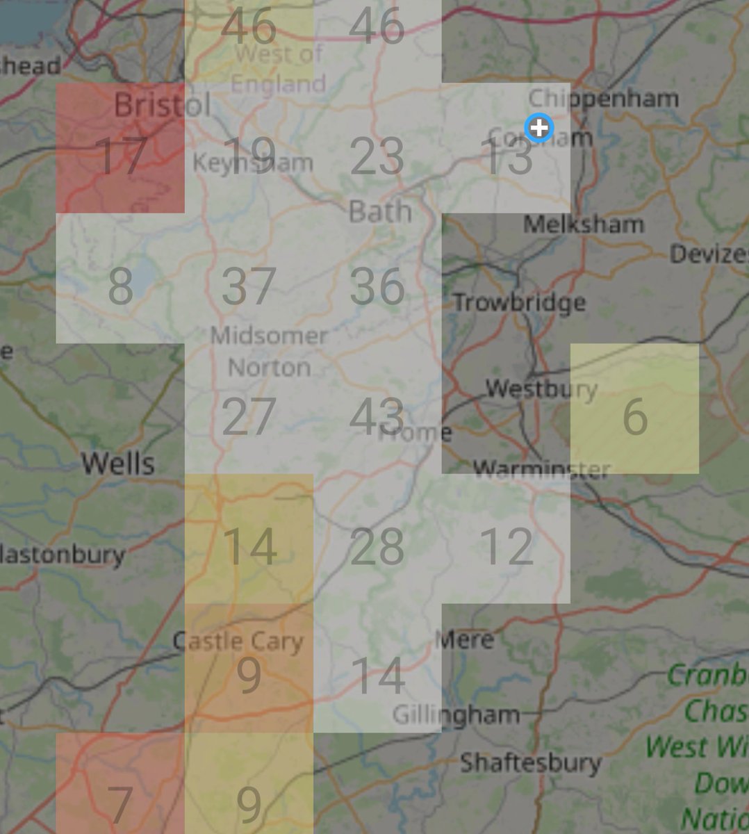 Warren Drake tweet media