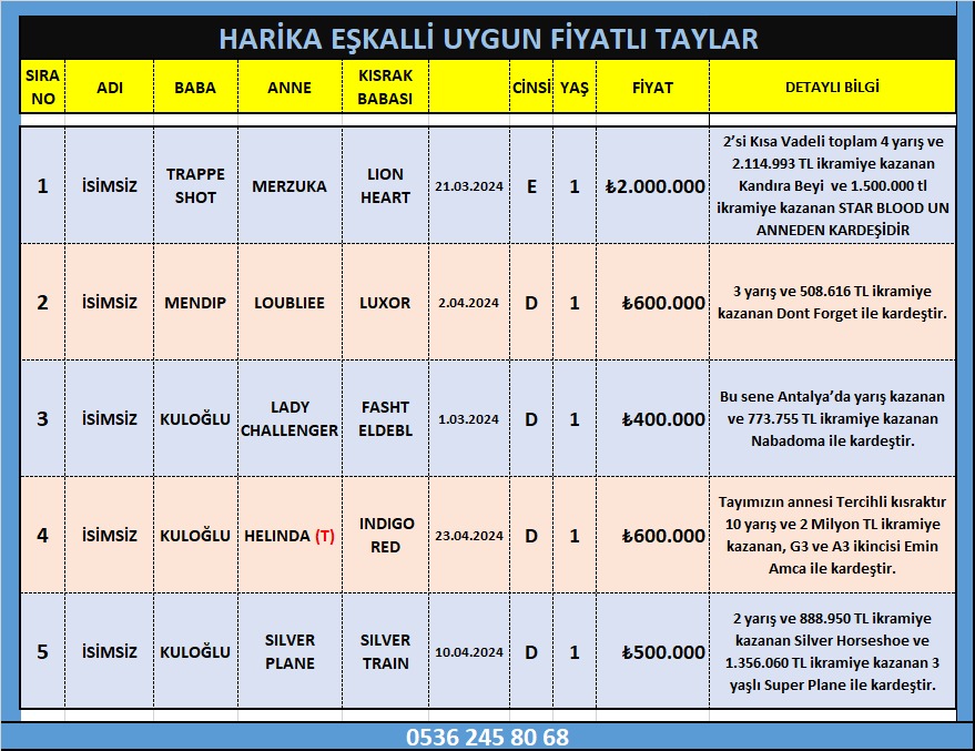 <a href="/MetinMfg/">Metin F.Göre ( #AtAlımSatım)</a> <a href="/AtcilikKtp/">Atçılık Kütüphanesi</a> <a href="/OzararUmur/">Umur Özarar💙💛</a> <a href="/01Szler/">TALARİA & LYNA</a> <a href="/f_tekinalp/">TEKİNALP HARASI (FIRAT TEKİNALP)</a> <a href="/OzararEkurusu/">Özarar Ekürisi</a> <a href="/ozlemKarasu12/">Evren Karasu</a>