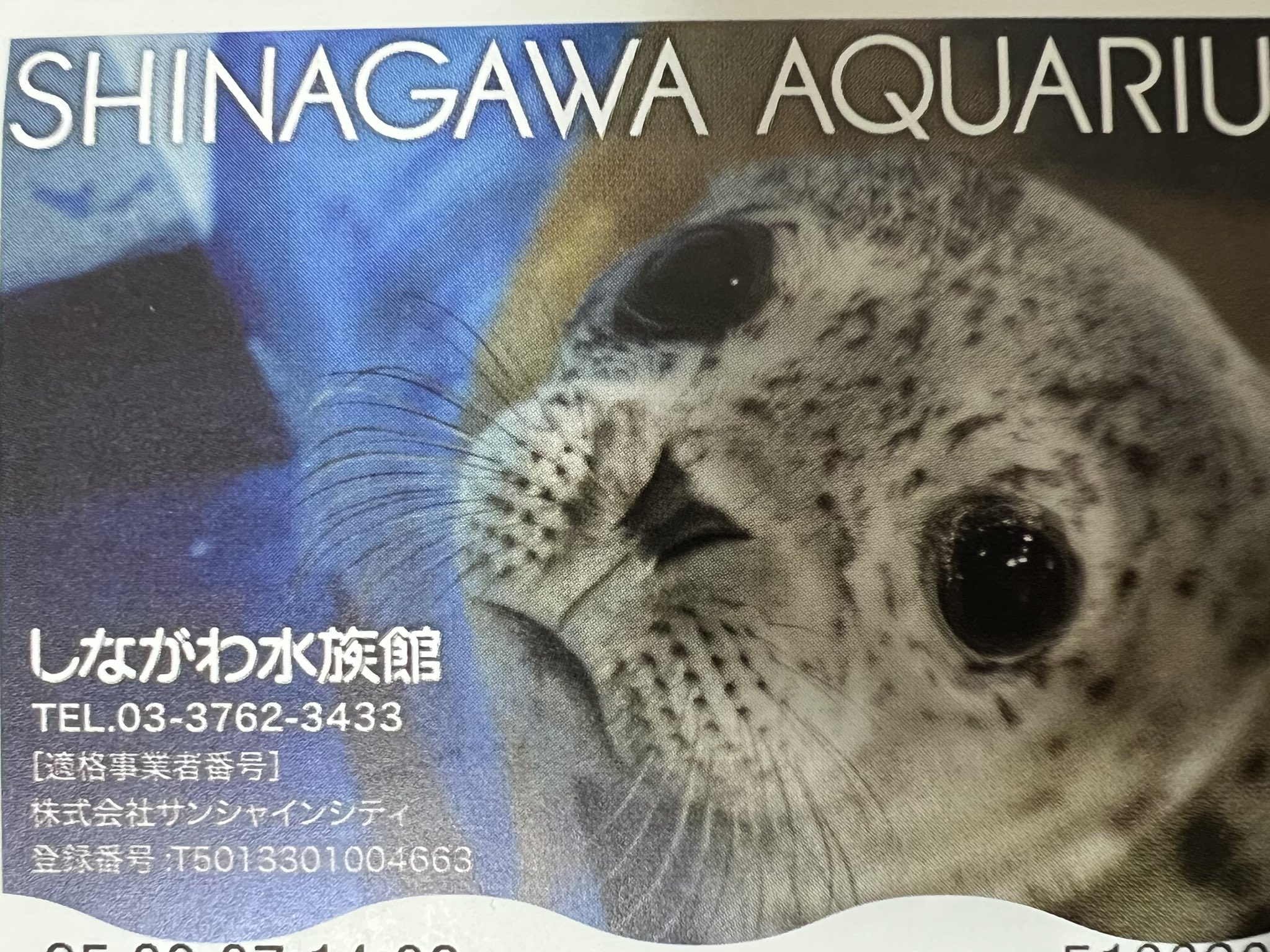 【七星ままさんファミリー】おなかがアゼツライトのペンギン形オルゴ☆他２点 Amazon | エポック(EPOCH) シルバニアファミリー ほいくえん