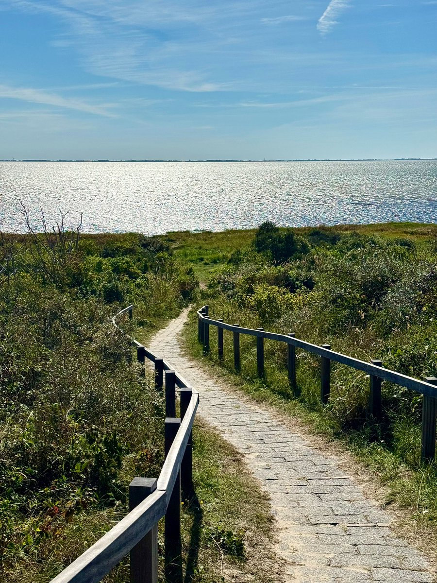 De weg er naar toe….