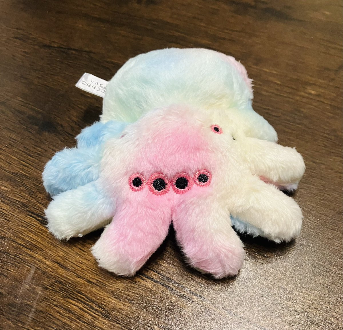 RT @kazu_no_suke: ハエトリグモのあかちゃんのガチャをしてきて、この
