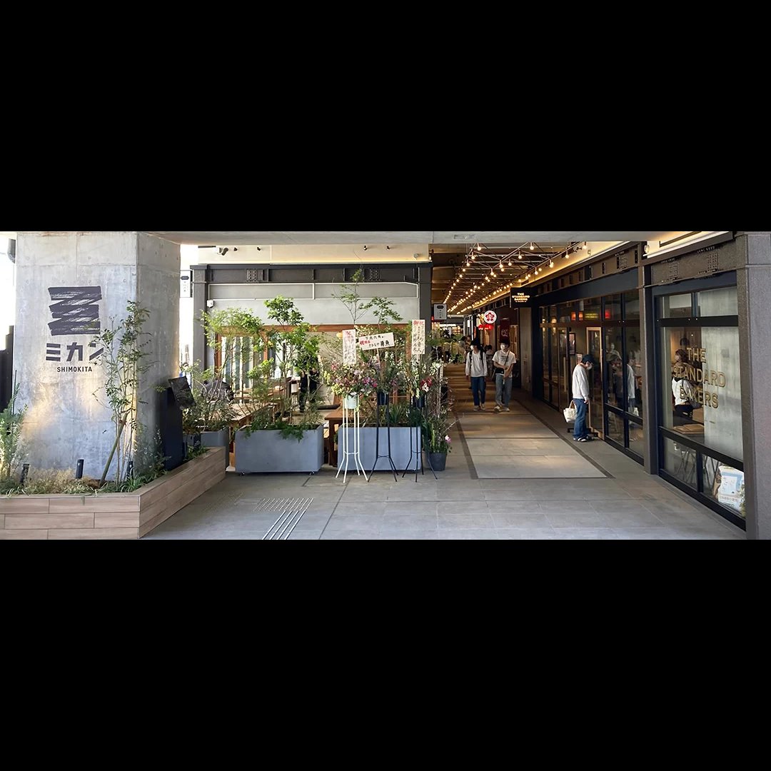 飯澤遥土 tweet media