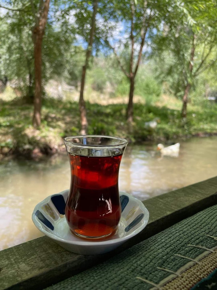 Biraz Uzaklaşmak Gerek,Herkesten Ve Her Şeyden.::
Günaydın ;Sadece Güzel Olanlara☕️☕️