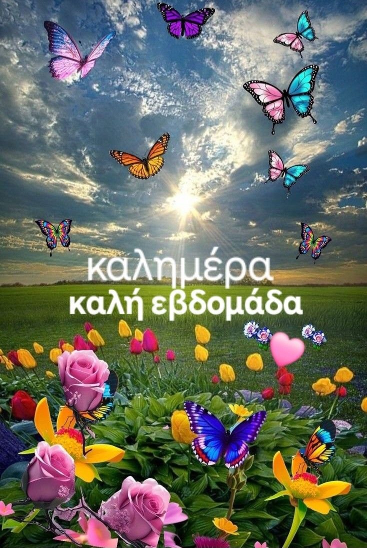 ΄Ανθρωπος, ωσεί χόρτος αι ημέραι αυτού, ωσεί άνθος του αγρού ούτως εξανθήσει.

Ότι πνεύμα διήλθεν εν αυτώ και ούχ υπάρξει και ουκ επιγνώσεται έτι τον τόπον αυτού. 
Το δε έλεος του Κυρίου από του αιώνος και έως του αιώνος επί τους φοβουμένους αυτόν. 

Ψαλμός 102