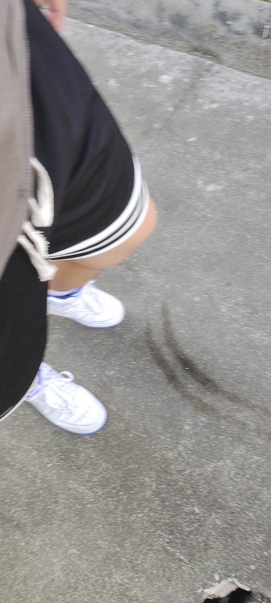 出门觅食咯 #🐻