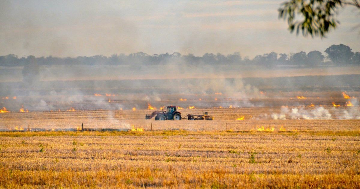 🇺🇦 Ukraine may need ❗️83 years❗️ to clear its farmland of mines. Today, nearly 25% of fields — 9.85M hectares, an area larger than 🇵🇹 Portugal — remain contaminated. Since 2022, just 0.08% has been cleared to international standards despite aid and new technology. This slow pace