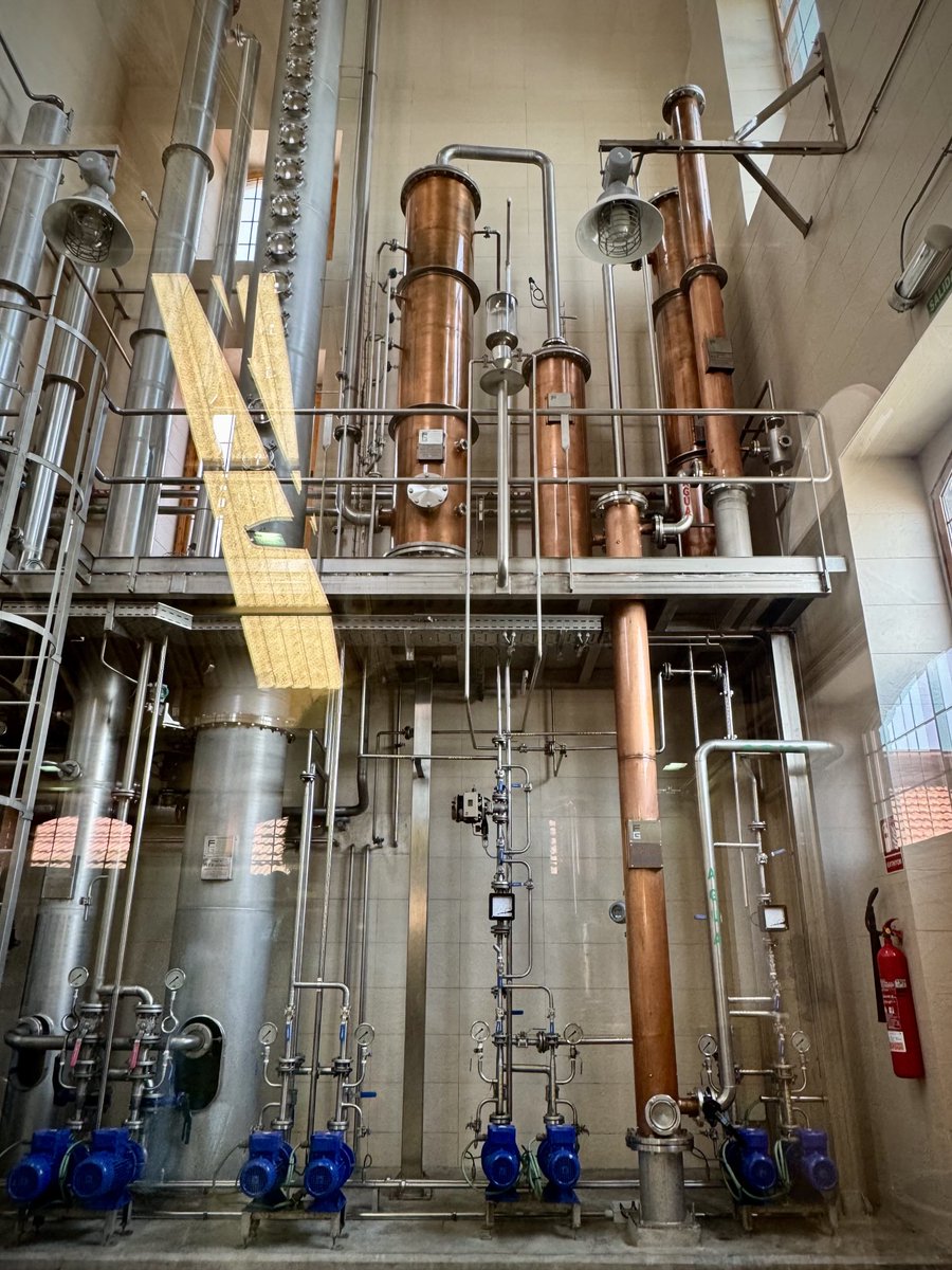 cataficion's tweet photo. Magnífica visita a la fábrica de Ron Arehucas en Arucas (Gran Canaria). https://t.co/zVLcOQefvT