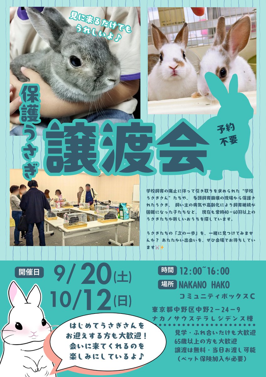 うさぎさん専用ページ 🐰✨保護うさぎ譲渡会 in 中野✨🐰 前回は大好評で、なんと1日で6匹
