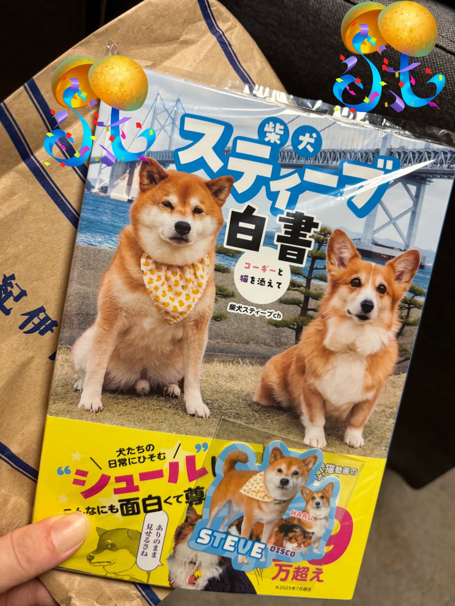 shi-ba です。 Kawasaki ZX-10R dB Pro Slip-On Systems (2021-2022) - 005