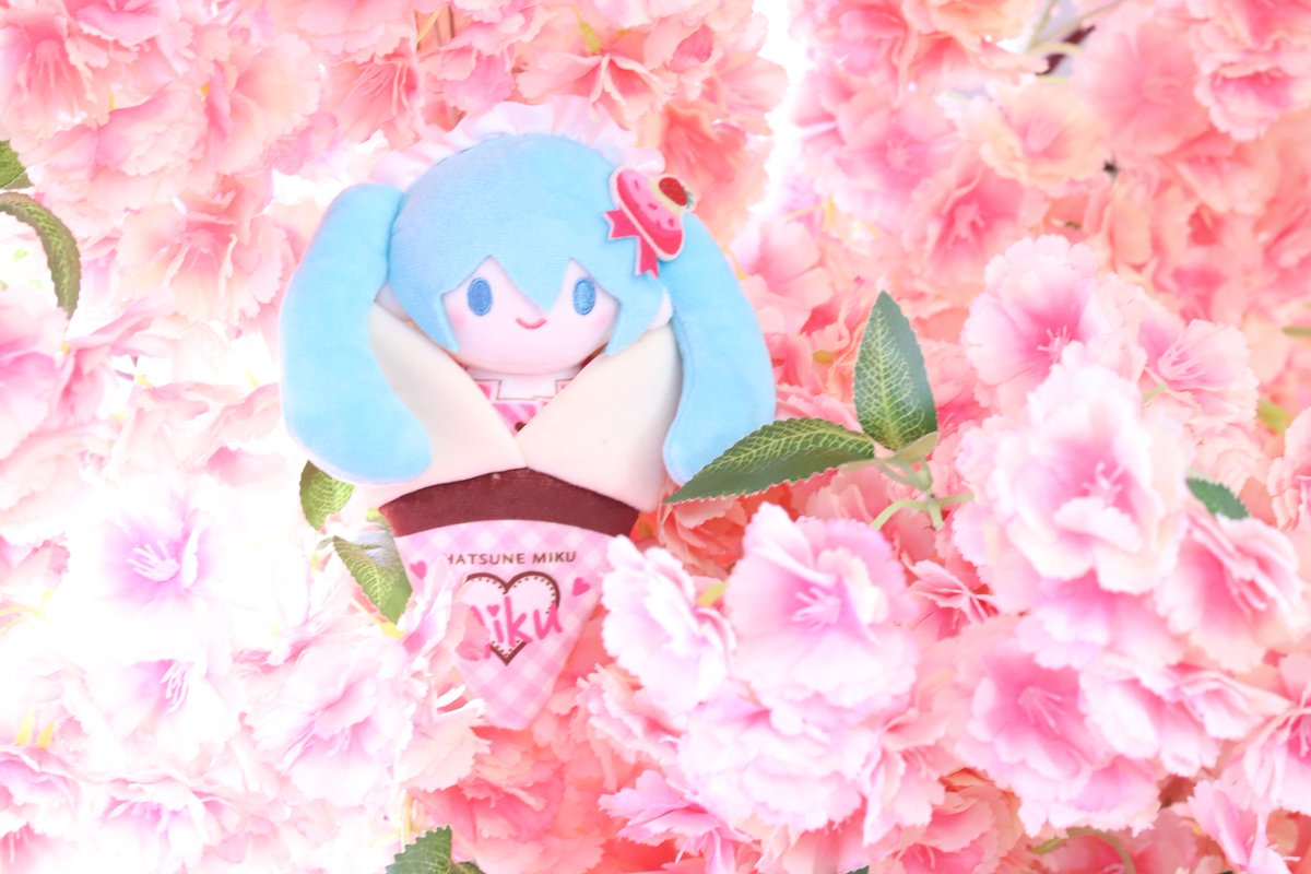 🌸🌸🪻🪻
#하츠네미쿠
#初音ミク
#실버네인형들