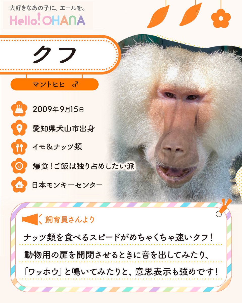 お猿さま専用 さるの様専用 おさるさん様＊専用ページ ▽お