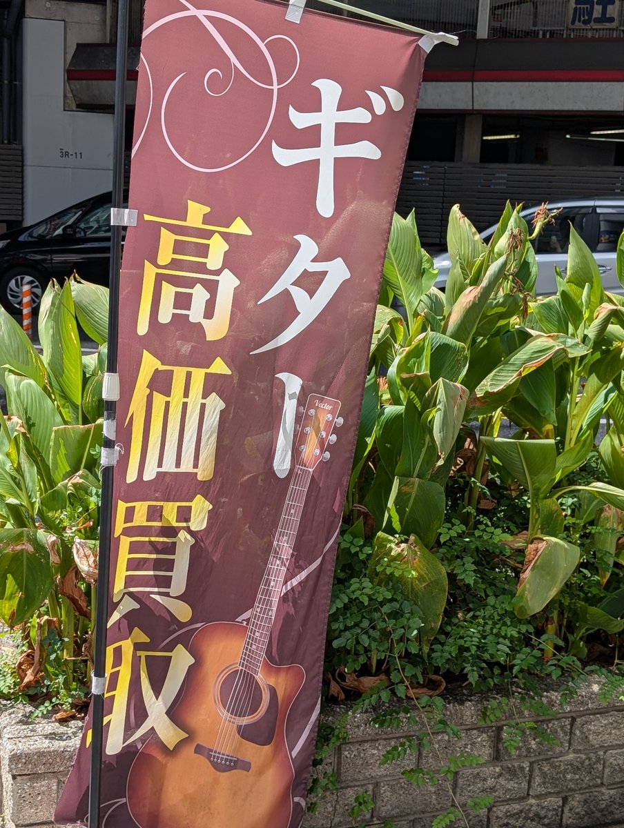 0421_akr's tweet photo. Sugi Craft「Nougat」フレット交換が完了したので引き取りに行って来ました
約3ヶ月振りのご対面、ギター人生?で初めてのフレット交換
新品を手にした時のようです
弦高12フレット2.1mm-15mm
#ドルフィンギターズ
#sugicraft https://t.co/9BhuFI9u0F