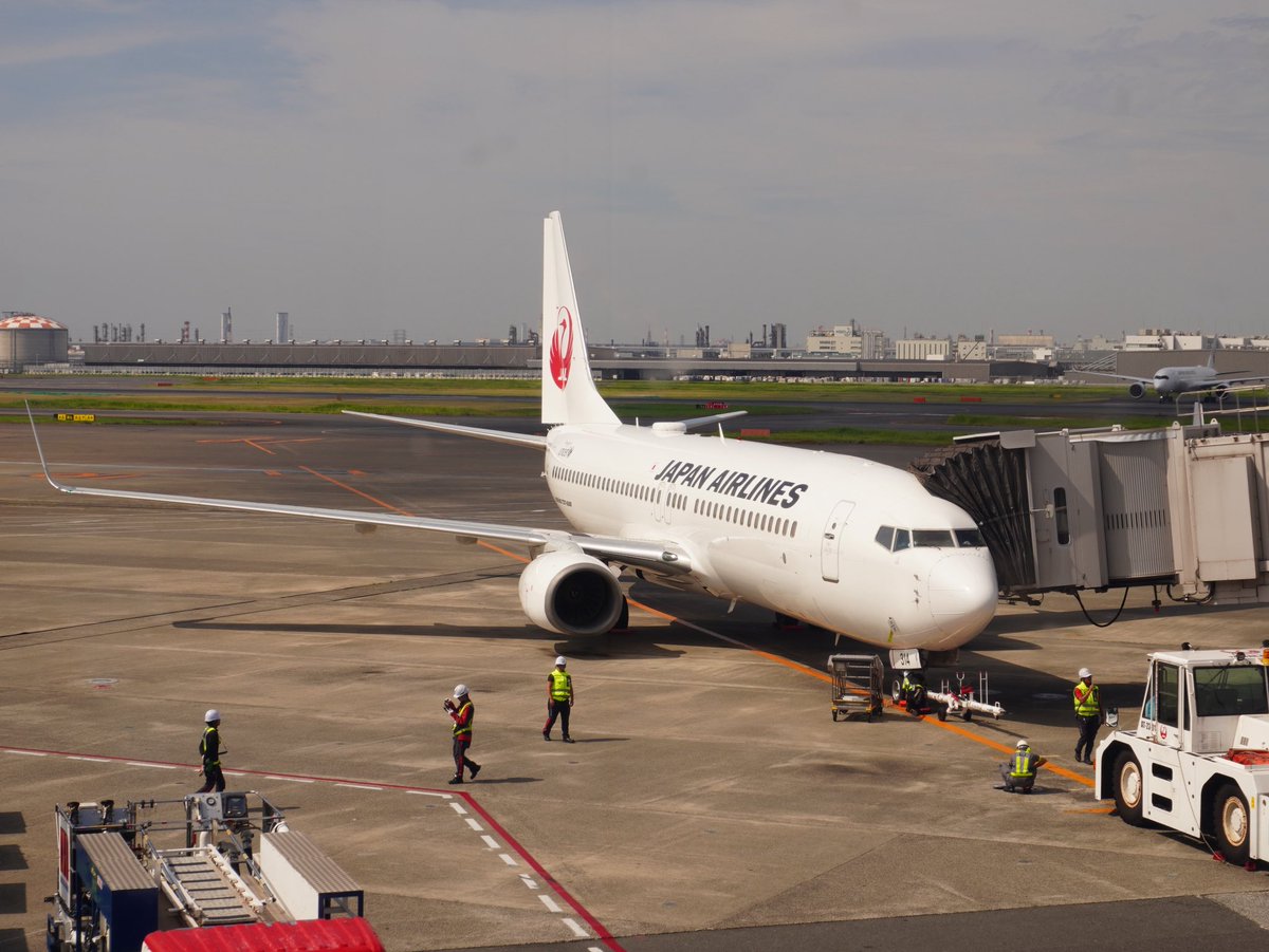 のわーるはフィーといっしょ tweet media