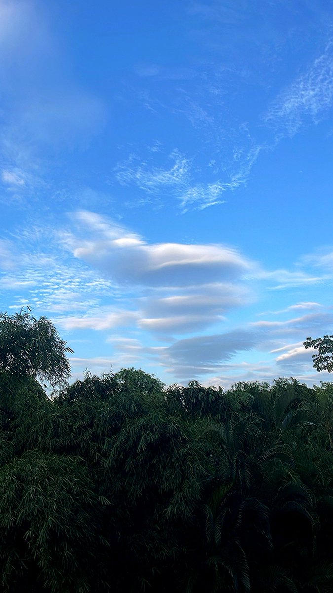 La forma del domingo. Buen día. #DesdeElOasis