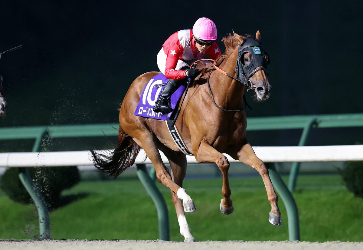 野畑凌 tweet media