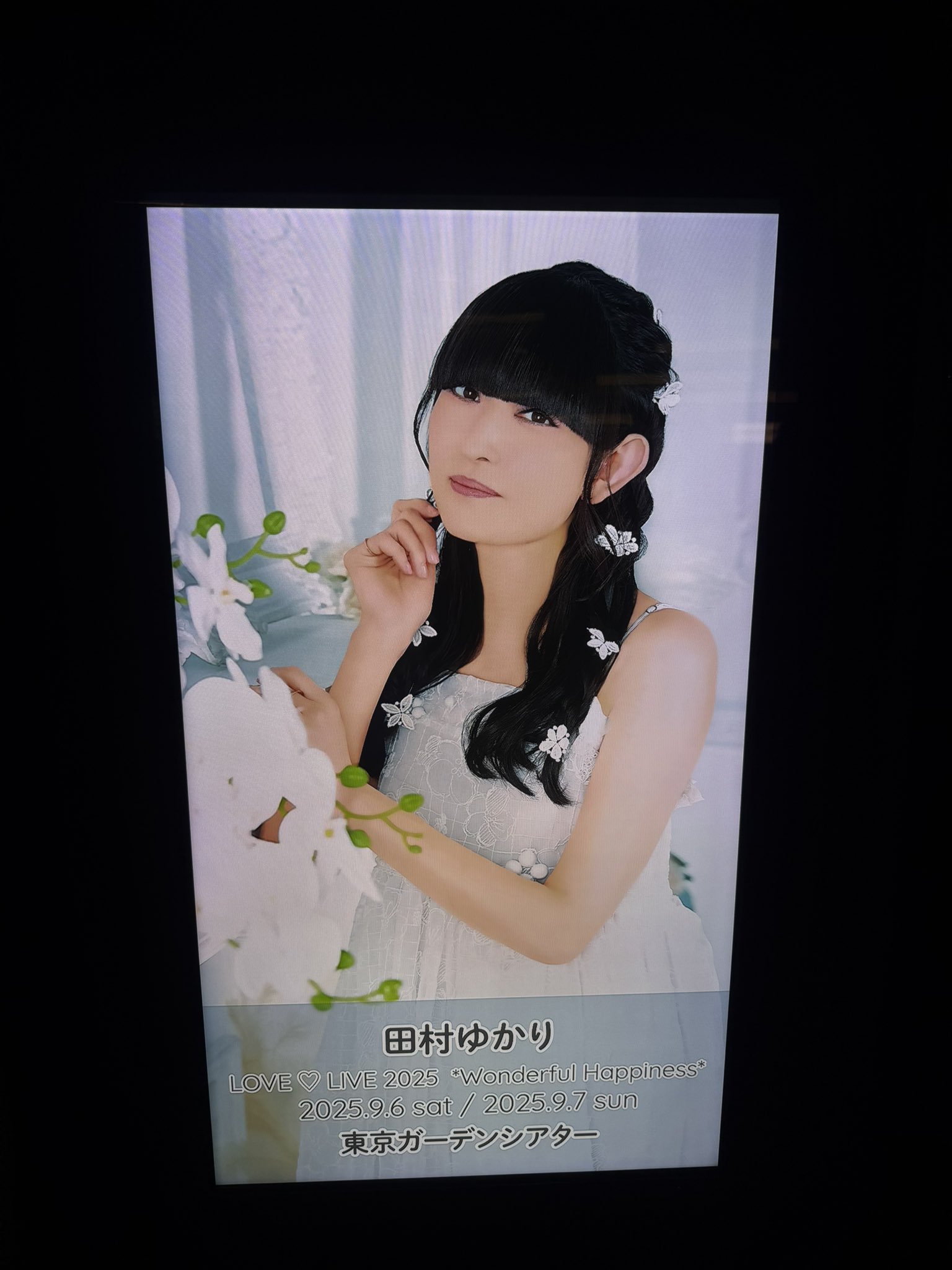 田村ゆかり パペット くろすけ未開封 田村ゆかり パペット くろすけ未開封 田村ゆかり パペット くろ