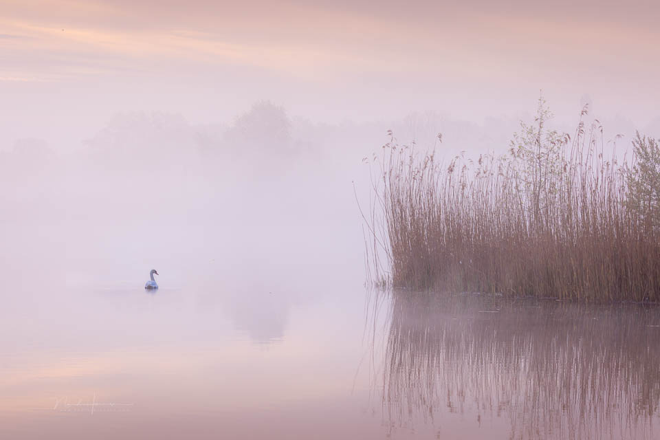 Wat maakt een foto echt jouw foto? 📸✨ Of je nu kiest voor gedetailleerd, realistisch of kunstzinnig, elke stijl heeft zijn plek. Wat voor soort fotograaf ben jij? Ontdek het in dit artikel van Nando Harmsen! 👉 photofacts.nl/fotografie/rub…