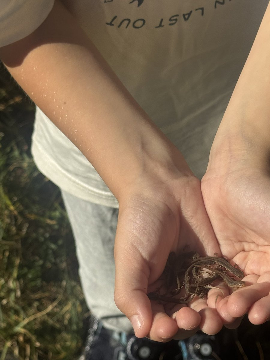 Jr på salamanderjakt😎😆