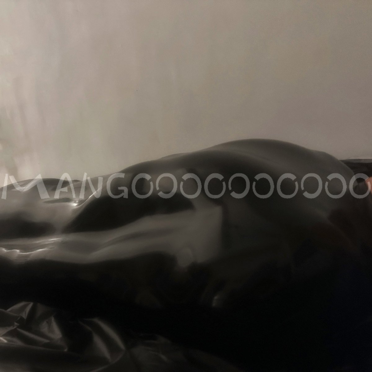mango (@mango7155) / Posts / X