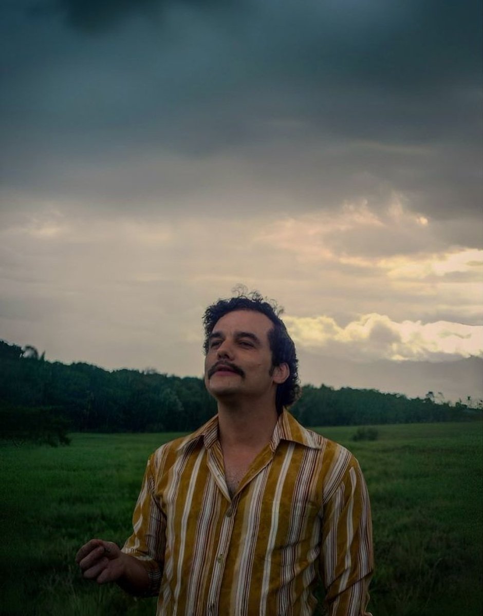 thecinelost's tweet image. 