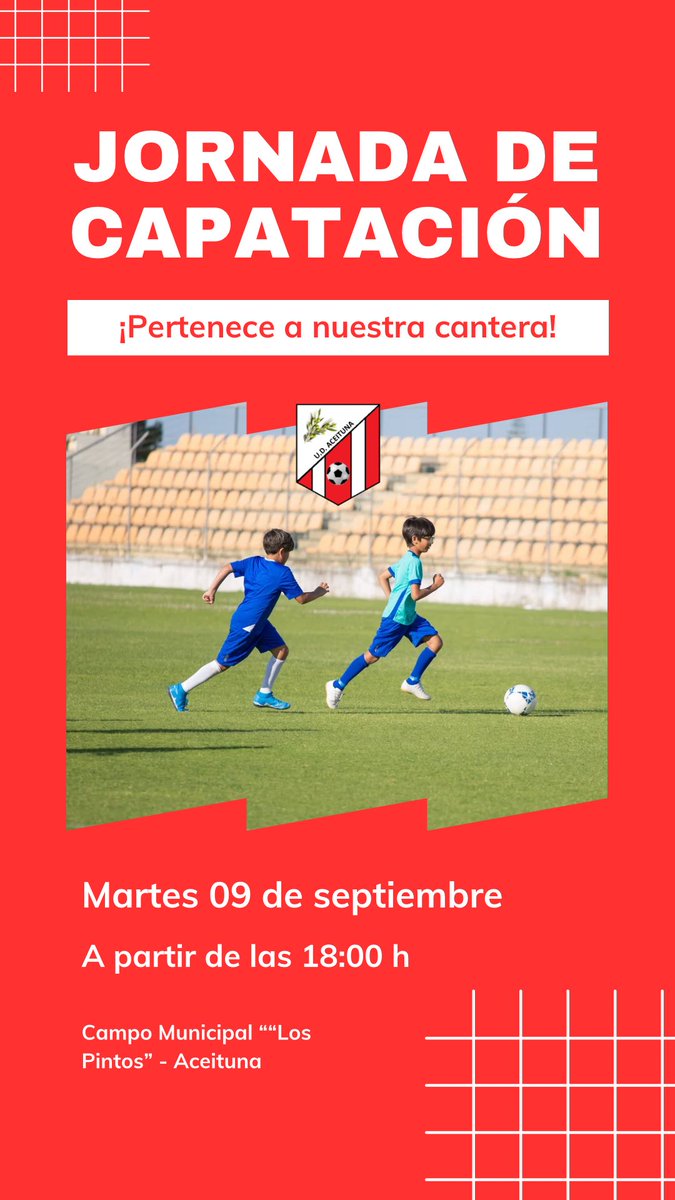 U.D. Aceituna tweet media