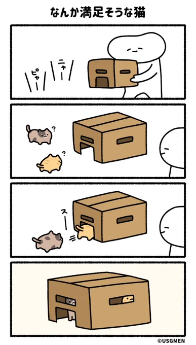 なんか満足そうな猫 
