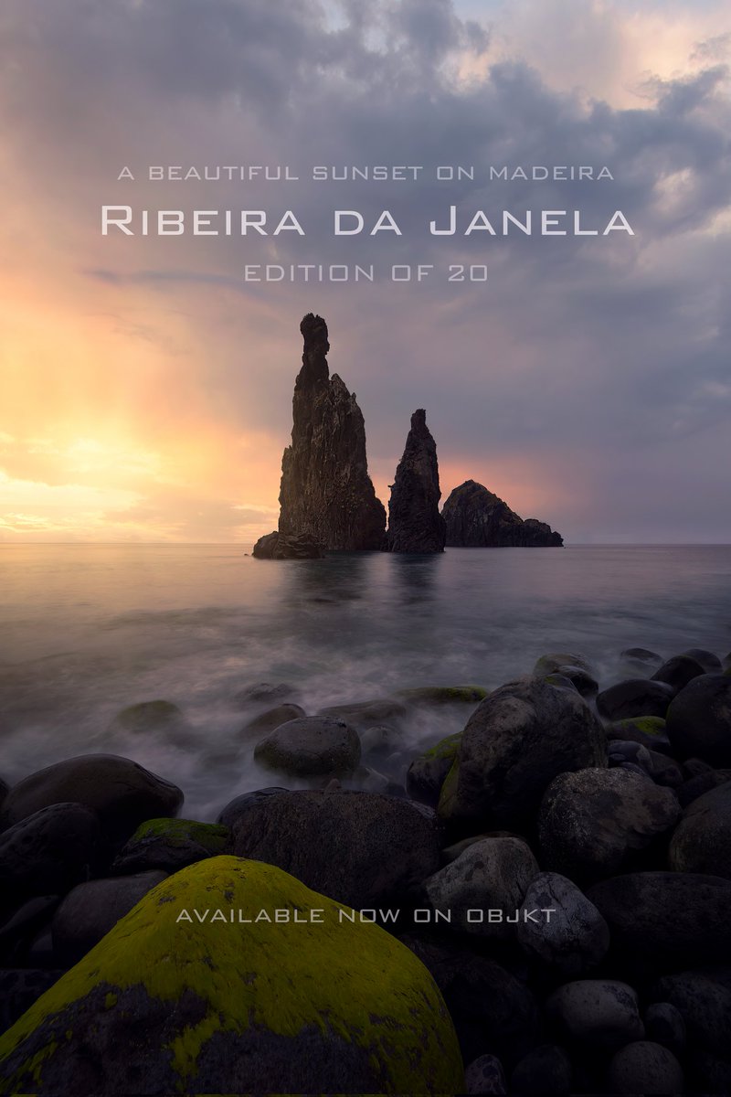 Gm ☕

Have a great Sunday everyone! ✌️