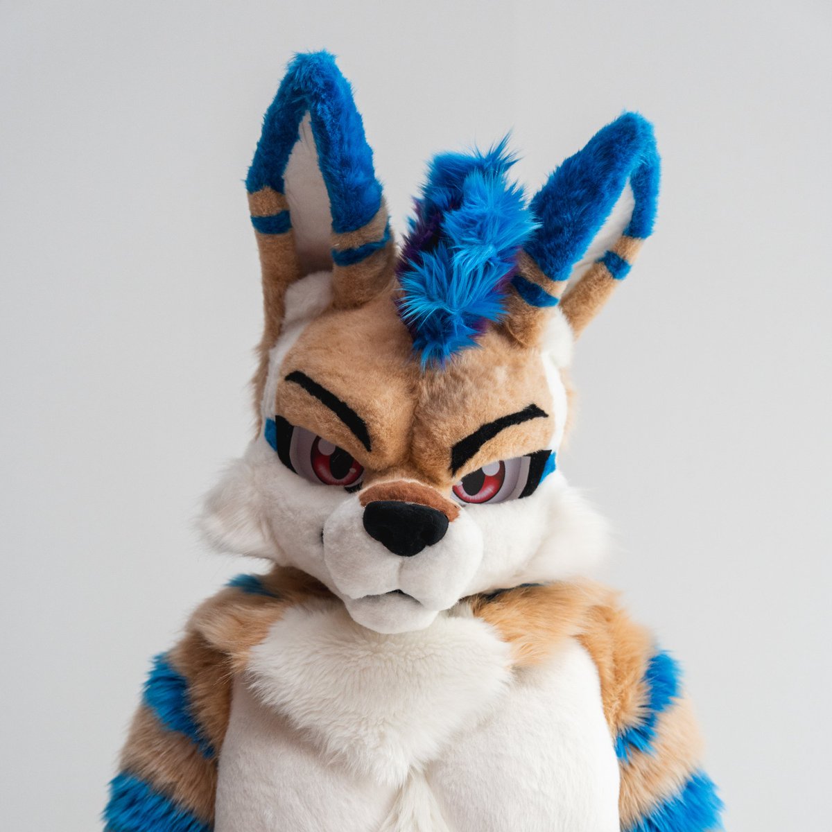 #新個人資料相片 #furry #fursuit