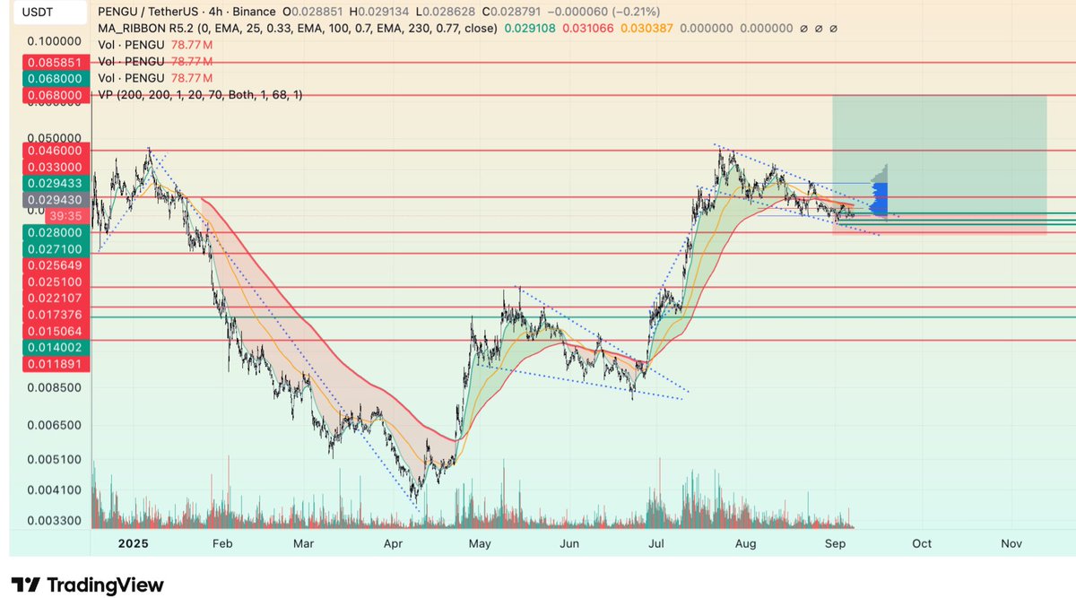 Pengu consolidating  for last impulse (look left)