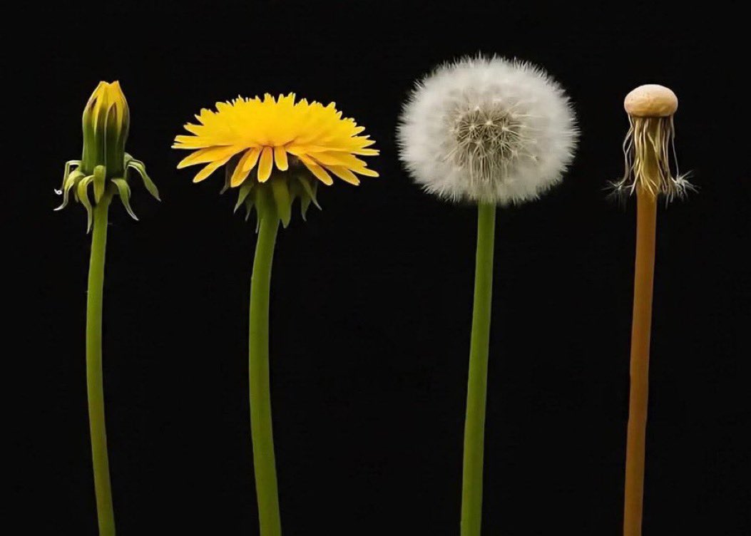 S_Galimberti (@s_galimberti) on Twitter photo 