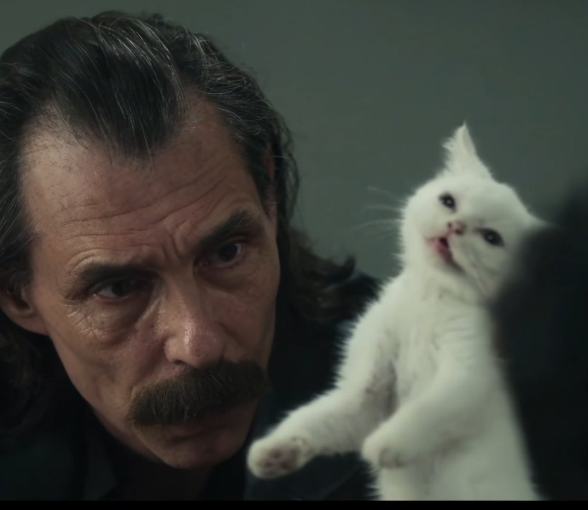 Efe (@zeroknightrocks) on Twitter photo 