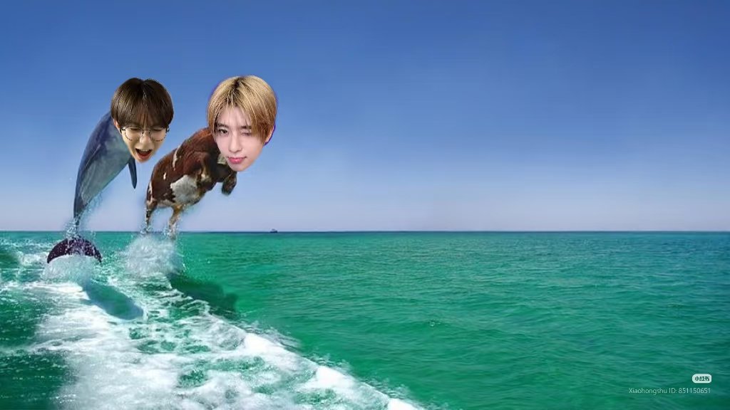 빛이나 tweet media