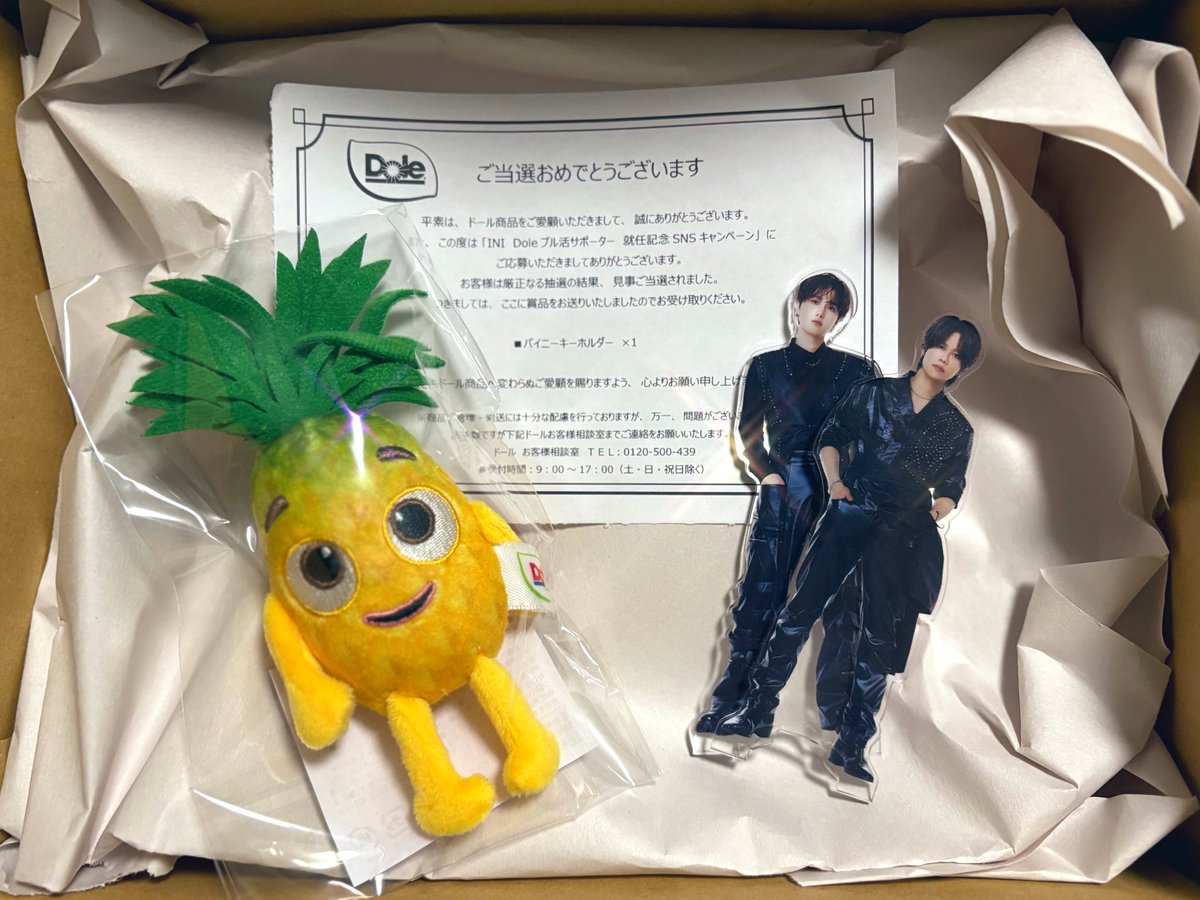 パイニーちゃん届きました❣️ありがとうございます🍍🎶ナゴドにも連れ