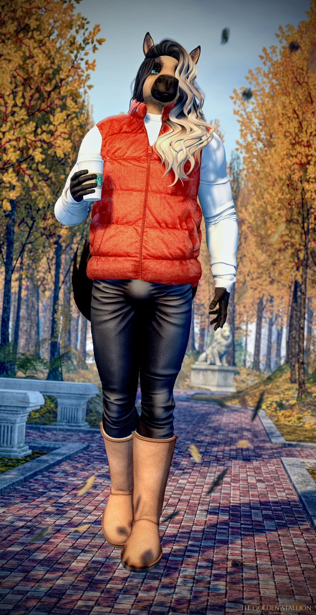 Saw a dead leaf on the ground today