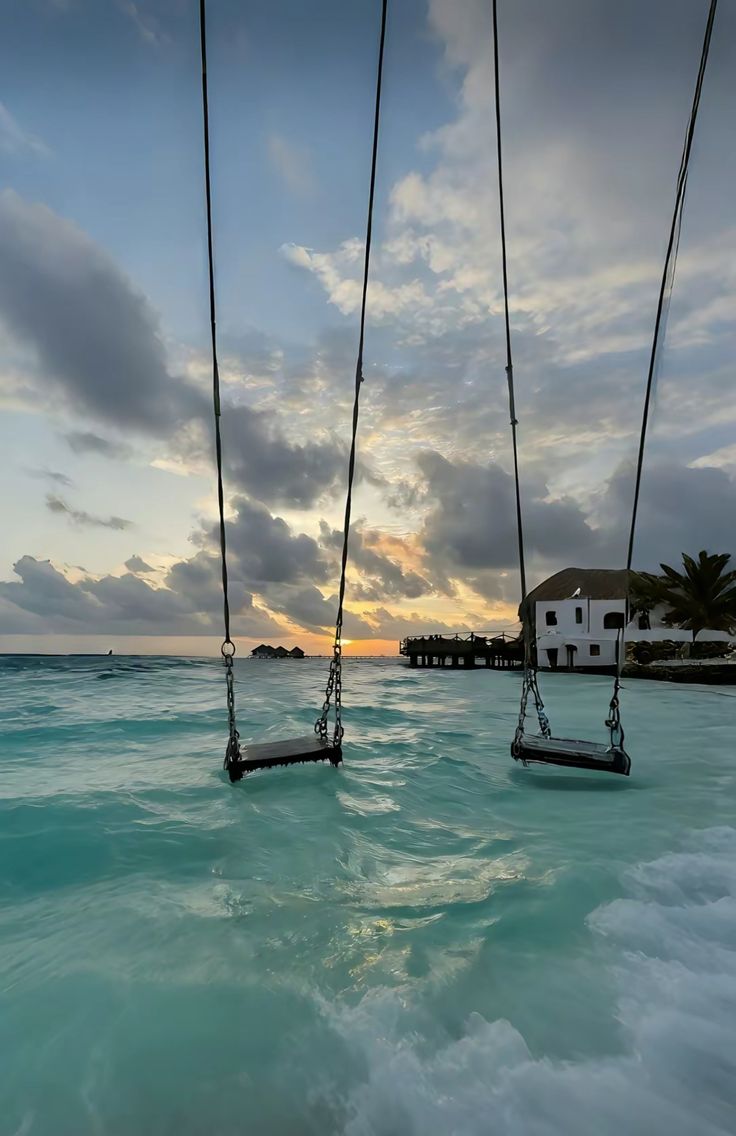 purelivn's tweet image. 