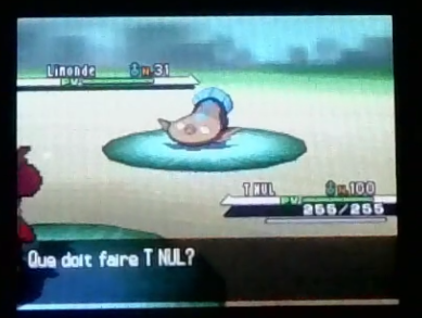 Dylan_pkmn's tweet photo. 🌟LIMONDE SHINY🌟

Phase 1 pour Escargaume de mon bingo 2025 !

Trouvé en live sur Twitch, il est arrivé hyper vite, 696 RE's

Je crois que j'en ai pas fini de ma chance actuelle, on va essayer d'en trouver encore plus :)

Lien de la vidéo : https://t.co/NCYZhlbsam https://t.co/qXEKFH1SGT