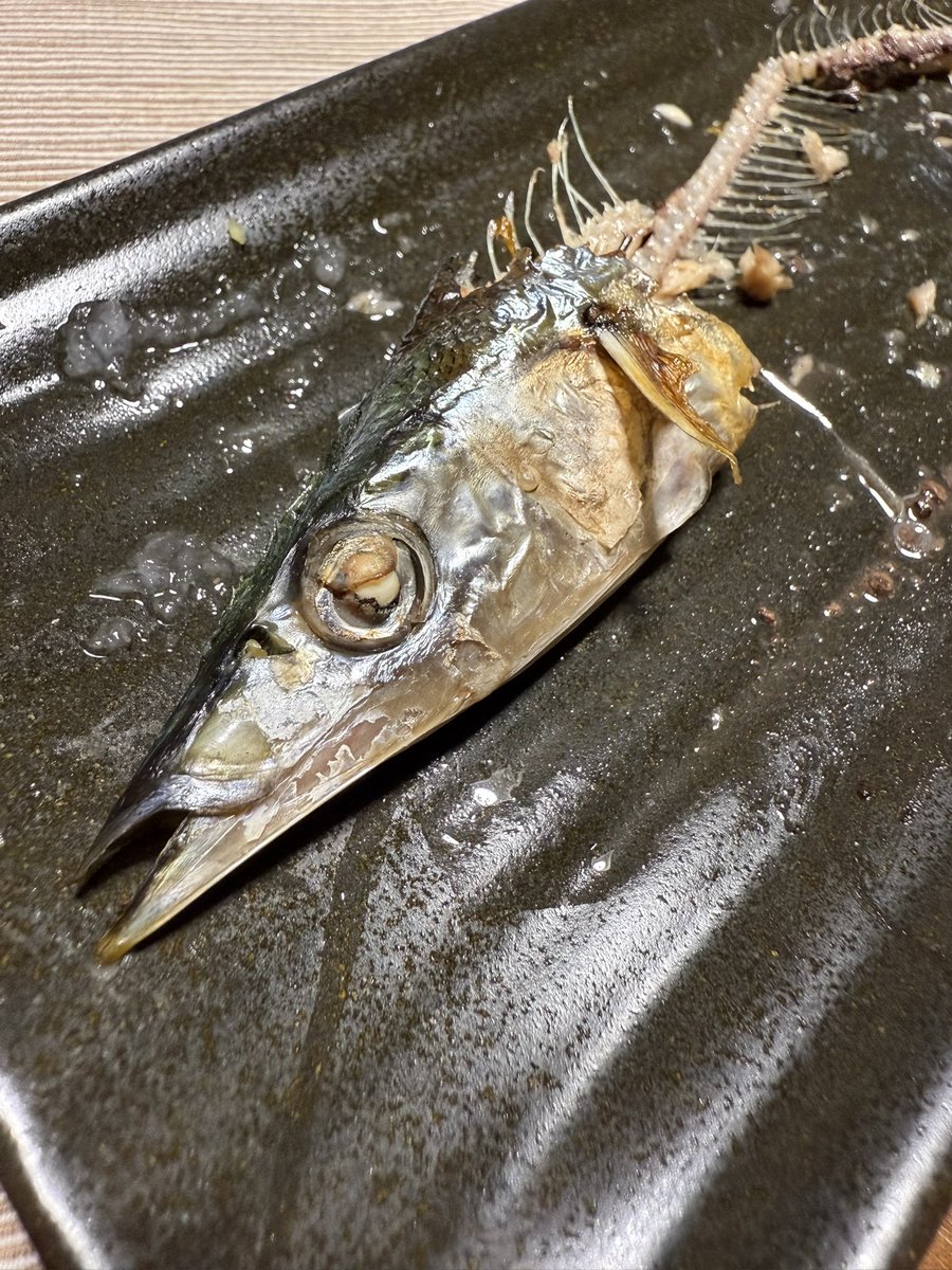 osugggy's tweet photo. #before_after
🍺🐟
何年ぶりやろか
ふっとい秋刀魚 https://t.co/cenbGrTjAp