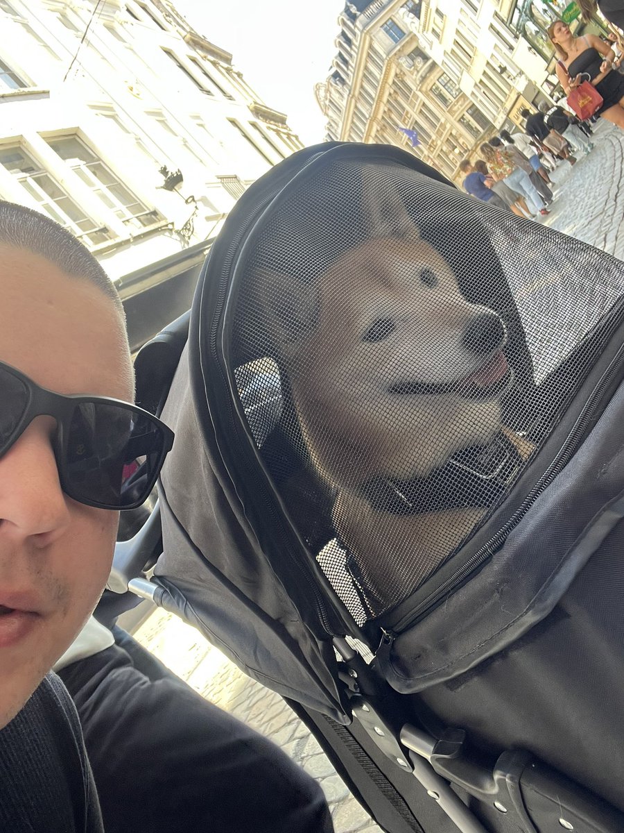 _mathafta's tweet photo. Found a chill $DOG in Brussels https://t.co/9PTeJGV0rF