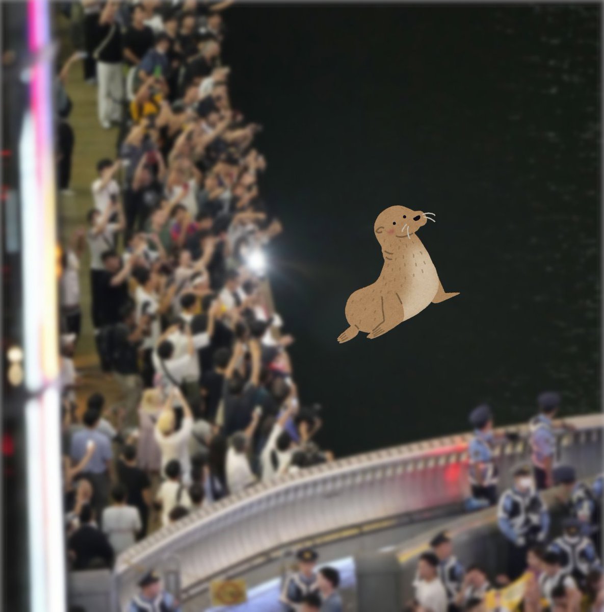 おうおうおうおうおうおｗｗｗｗｗｗｗｗｗｗｗｗパァンッパァンッ(ヒレを叩く音)おうおうおうおうおうおおうおうおうおうおうおｗｗｗｗｗｗパァンッパァンッ(ヒレを叩く音)おうおうおうおうおうおｗｗｗｗ